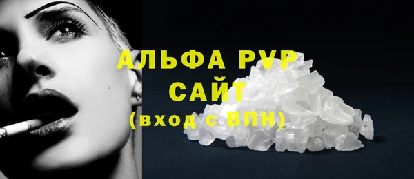 прущие грибы Белоозёрский