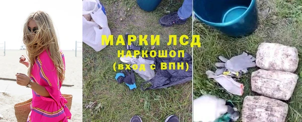 прущие грибы Белоозёрский