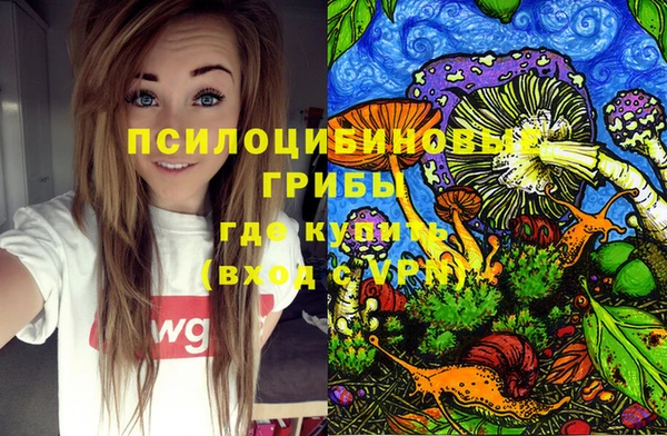 прущие грибы Белоозёрский